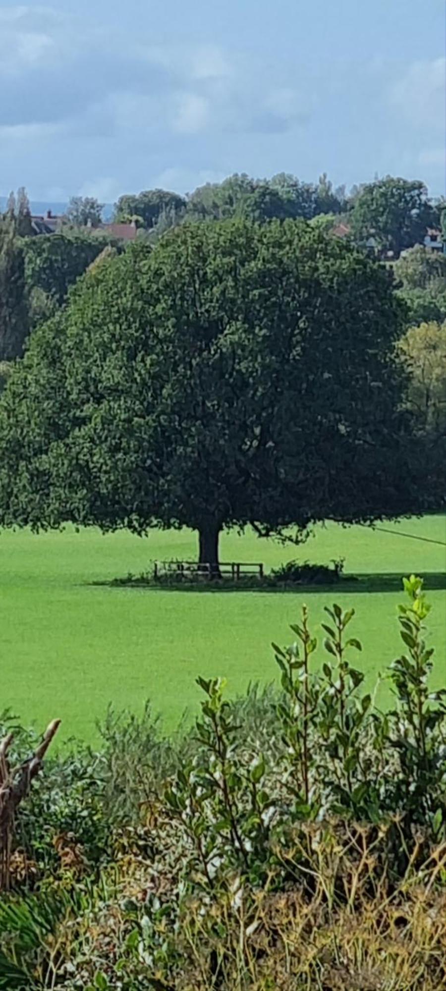 Ross-On-Wye Holiday Cottage エクステリア 写真