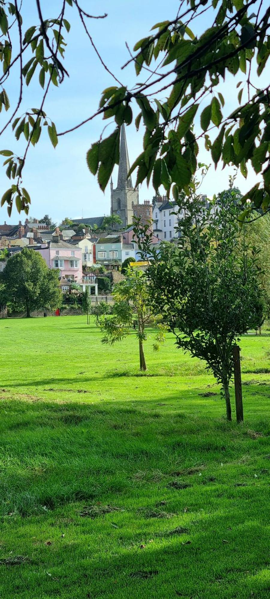 Ross-On-Wye Holiday Cottage エクステリア 写真