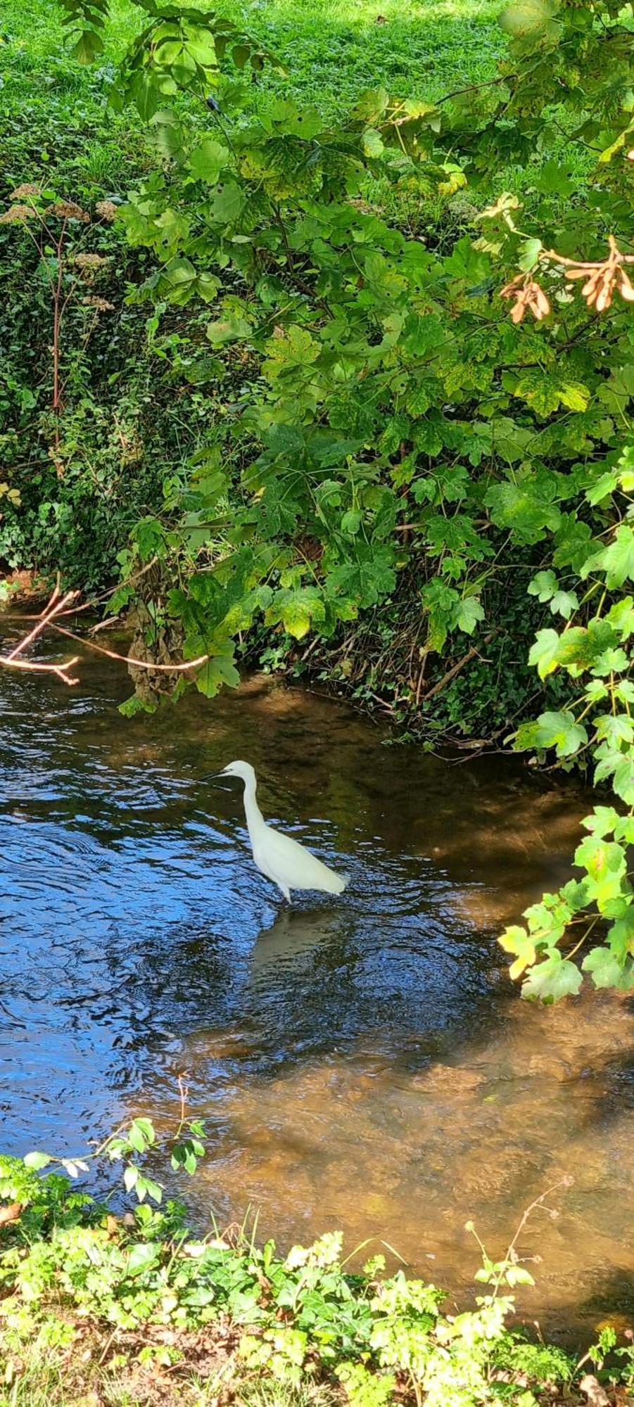 Ross-On-Wye Holiday Cottage エクステリア 写真
